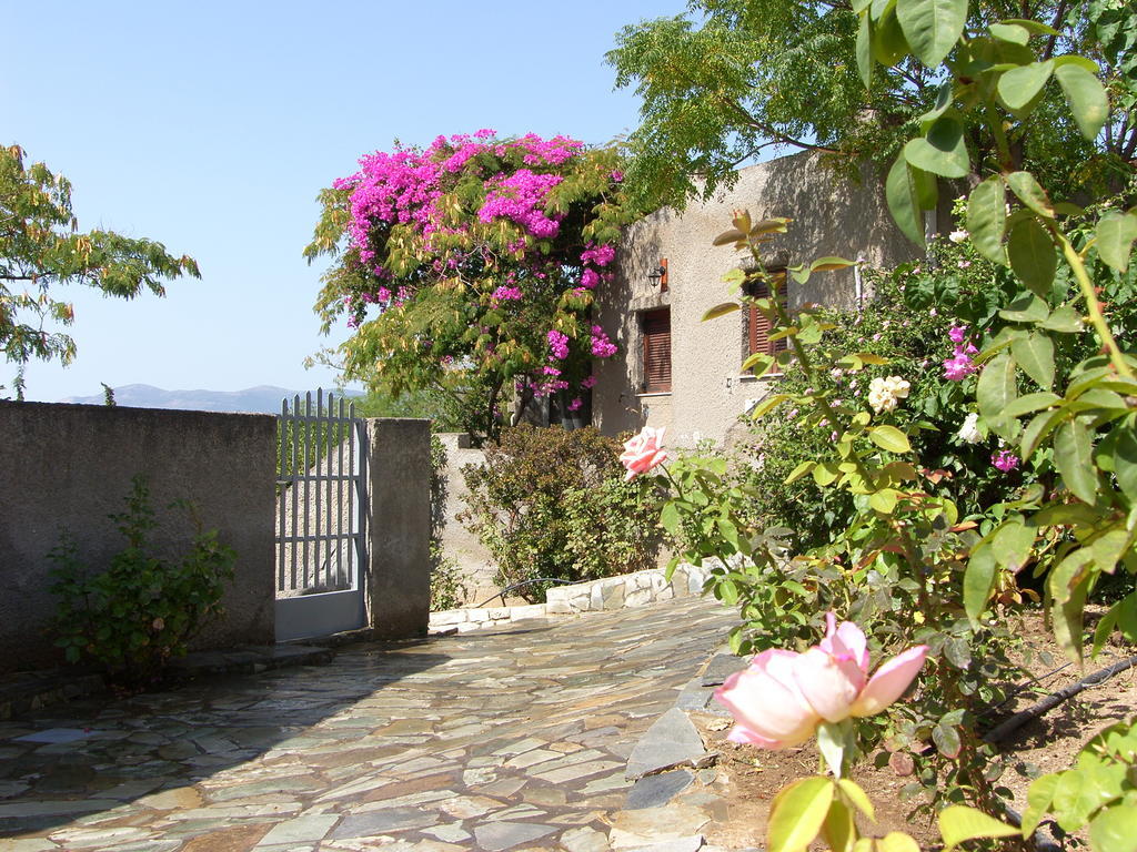 Cavo Grosso Bungalows Mavrovoúnion 客房 照片